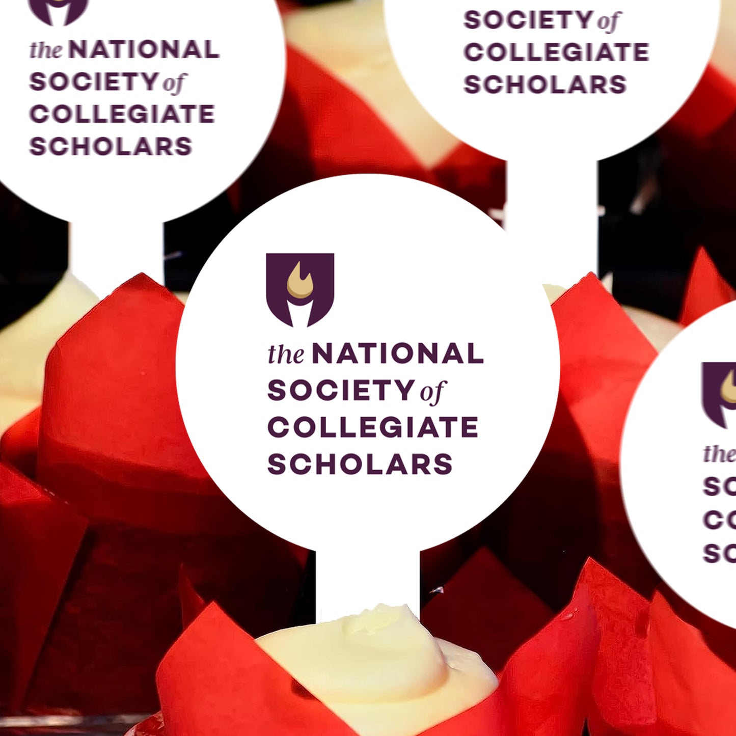 NSCS Cupcake Toppers